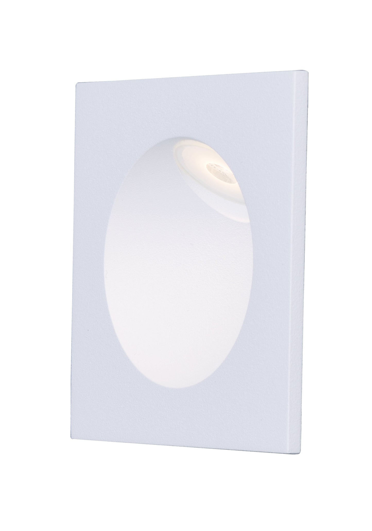 LED Outdoor Wall Sconce